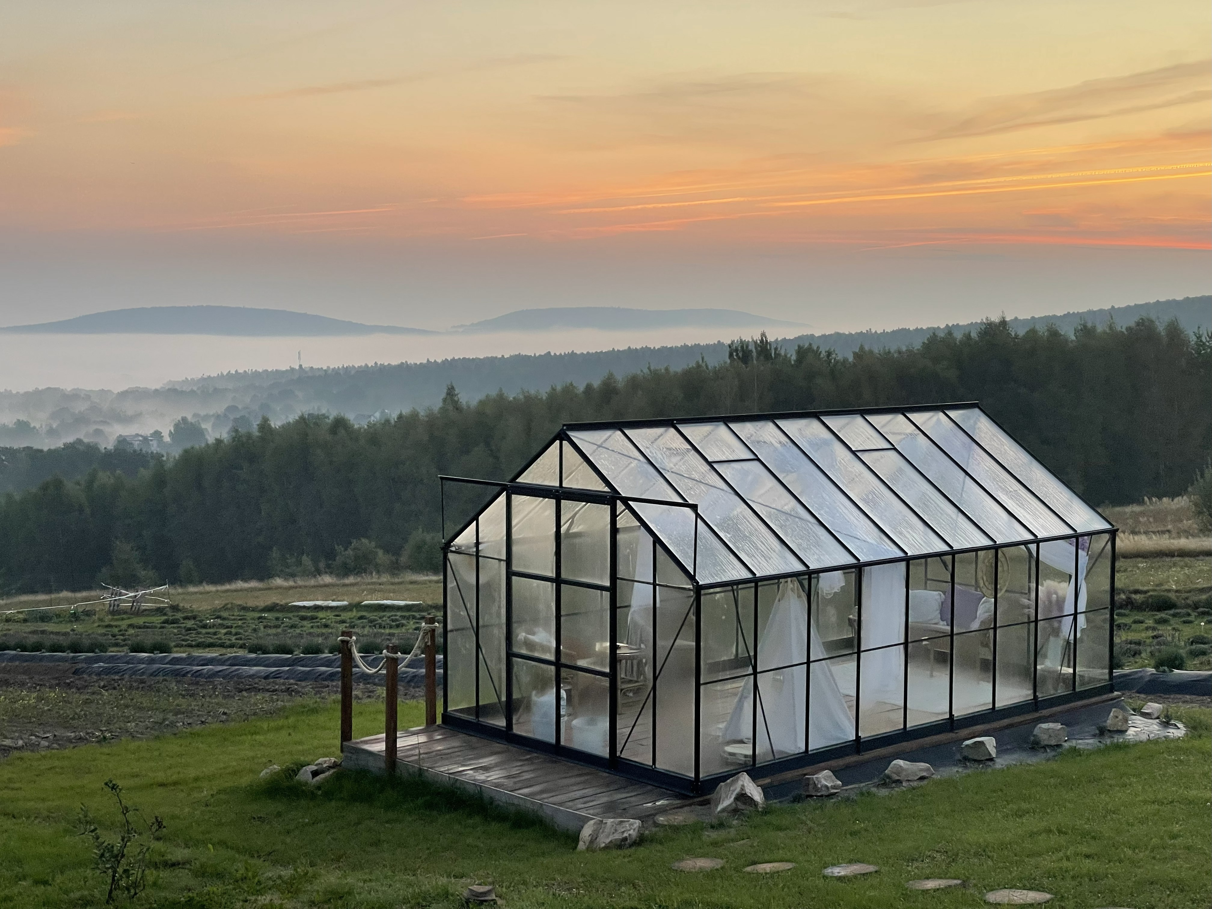 Lawendowa Szklarnia pod Łysicą – romantyczne miejsce na sesje zdjęciowe w naturze